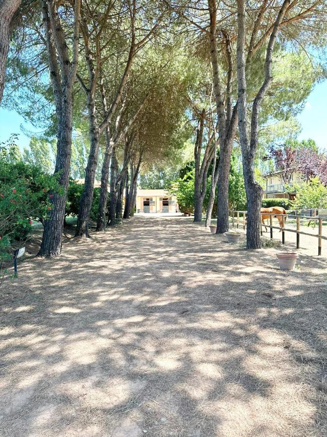Turfrose Di San Rossore A Pisa By Zoom In Earth 外观 照片